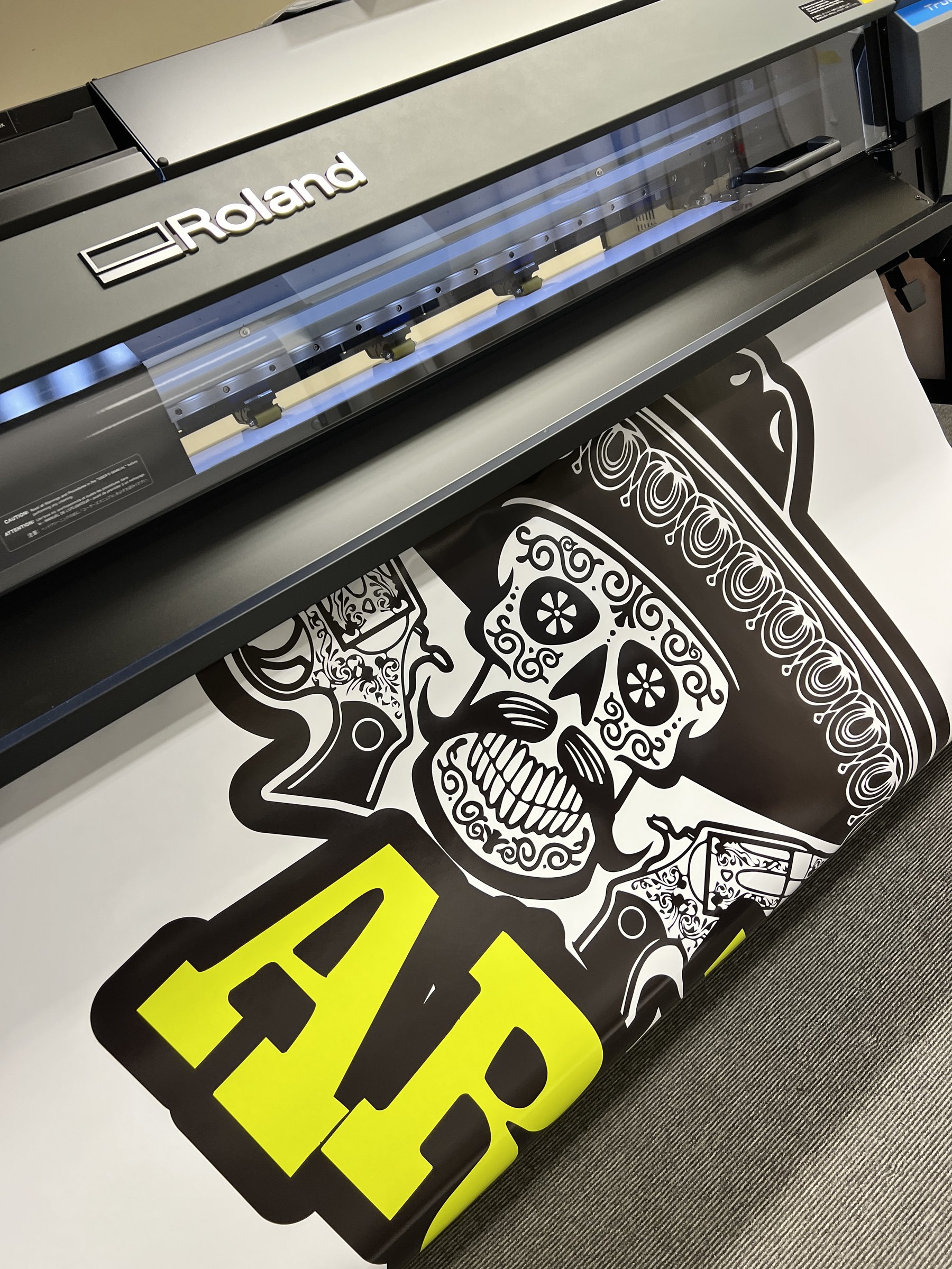 Mexican Sugar Skull Print