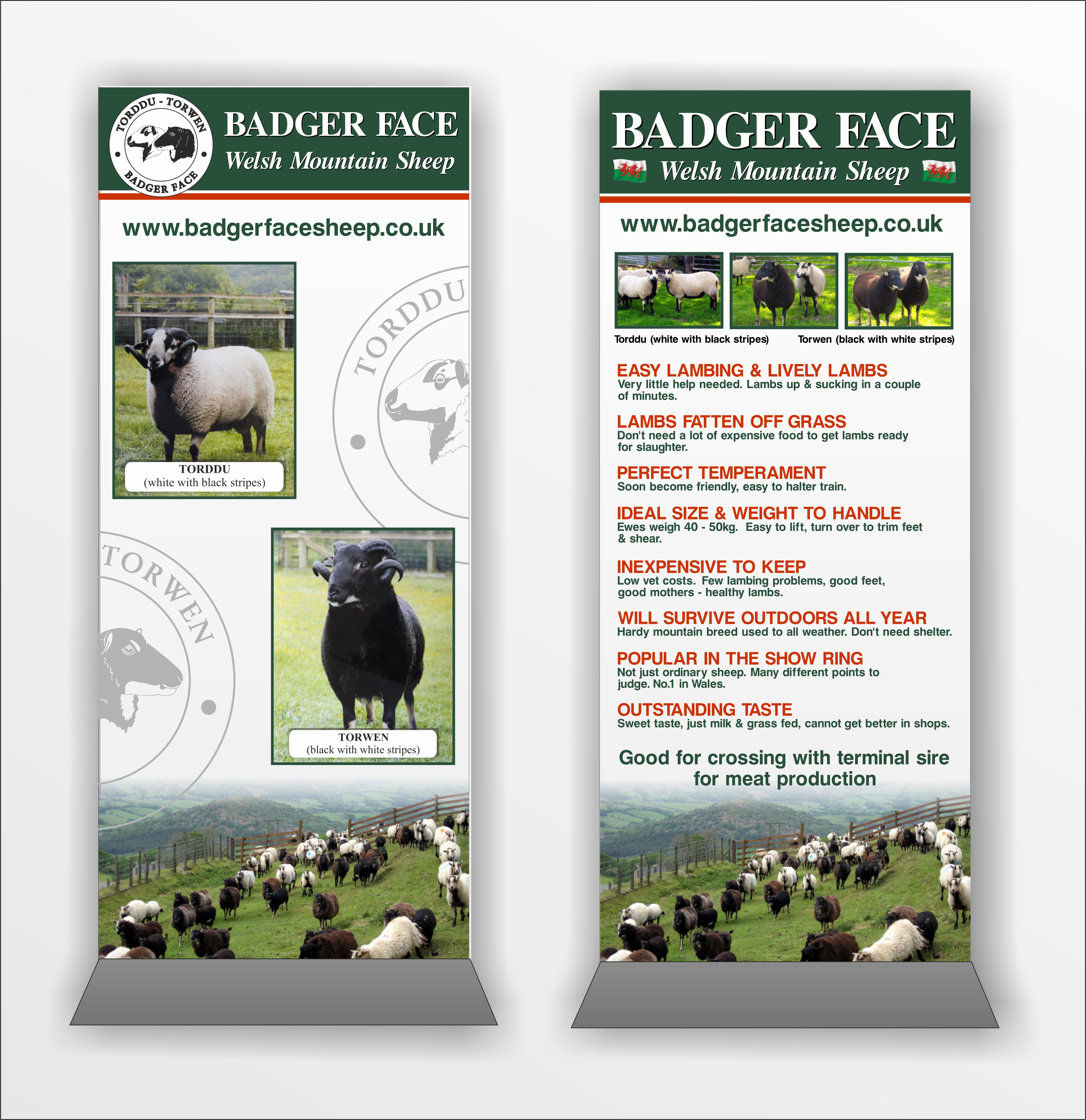 Banners & Displays