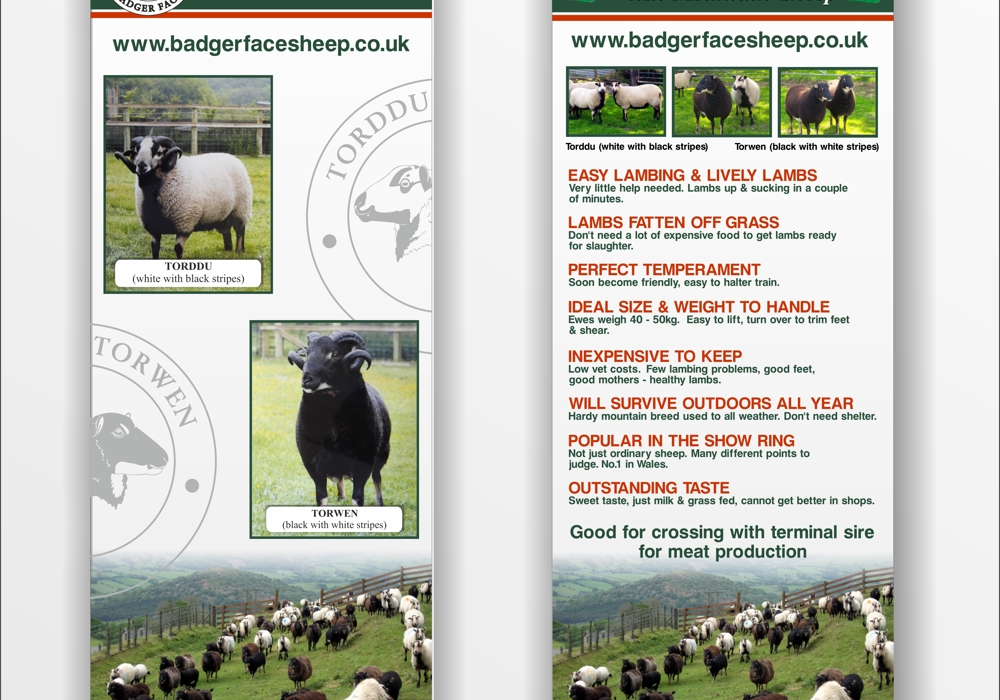Pair of printed pop-up promotional banners