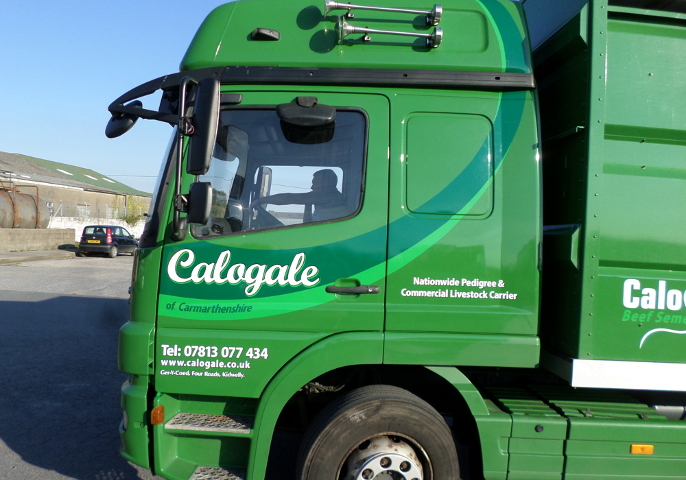 Green commercial lorry with branded cab graphics